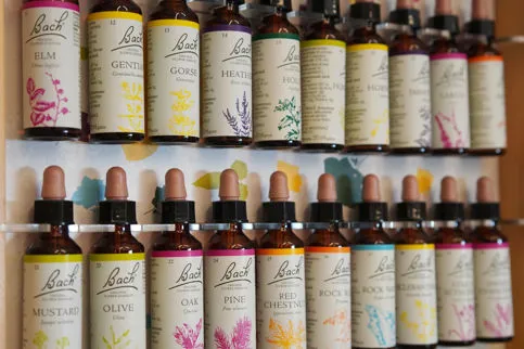 Fiori di Bach Originali - Rimedi Naturali per il Benessere | Parafarmacia Erboristeria La Perla