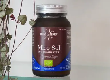 Micoterapia