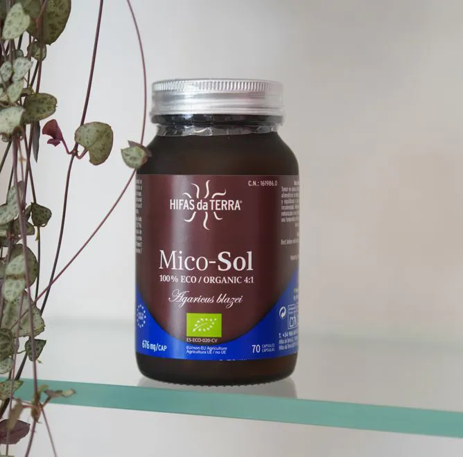Mico-Sol Hifas da Terra – Estratto di Agaricus blazei