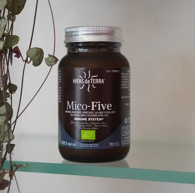 Mico-Five Hifas da Terra – Estratti di 5 Funghi Medicinali